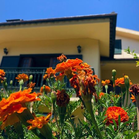 Casa Sao Simao Villa Barcelos Kültér fotó